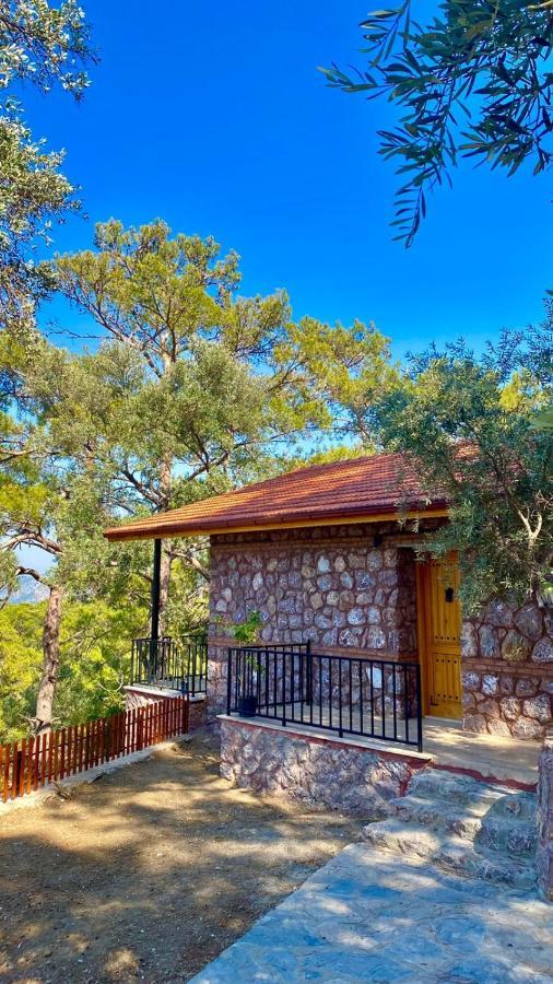 Candir Resort Restaurant Mugla Exteriér fotografie